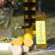 Olive Oil