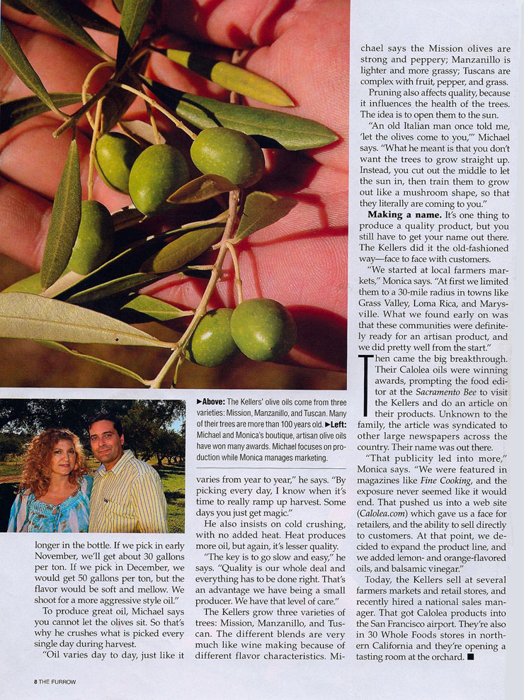 perfect crush article page 2